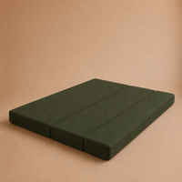 Swan Sofa Cum Bed