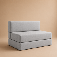 Swan Sofa Cum Bed