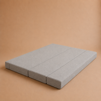 Swan Sofa Cum Bed
