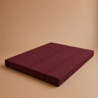 Swan Sofa Cum Bed