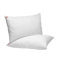 Two Standard Back Support Fiber white pillows on a white background